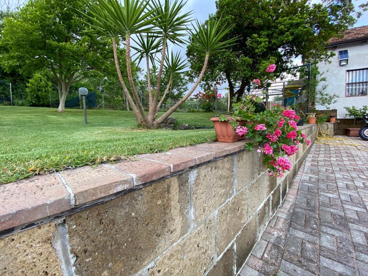 A Casa Di Nonna Emilia Bed & Breakfast Campagna Bagian luar foto