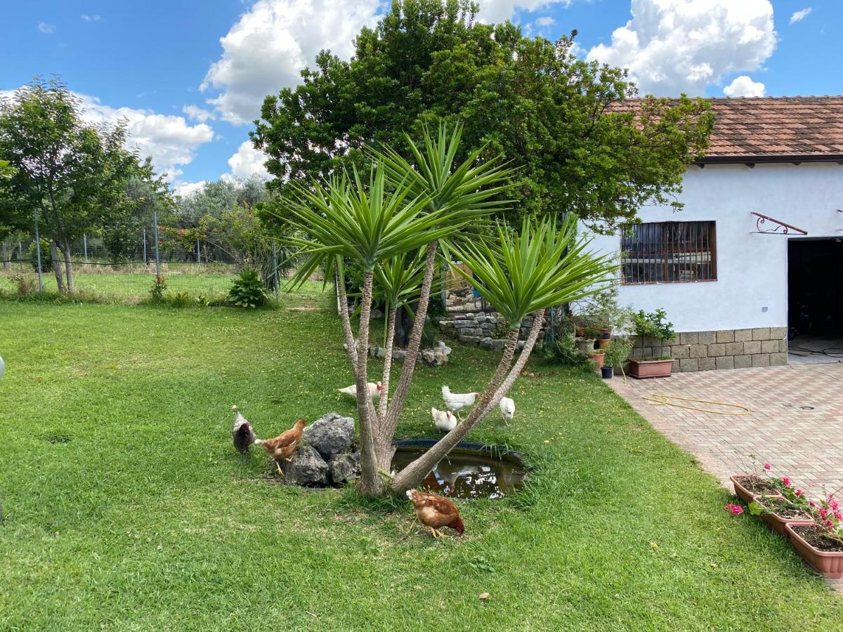A Casa Di Nonna Emilia Bed & Breakfast Campagna Bagian luar foto